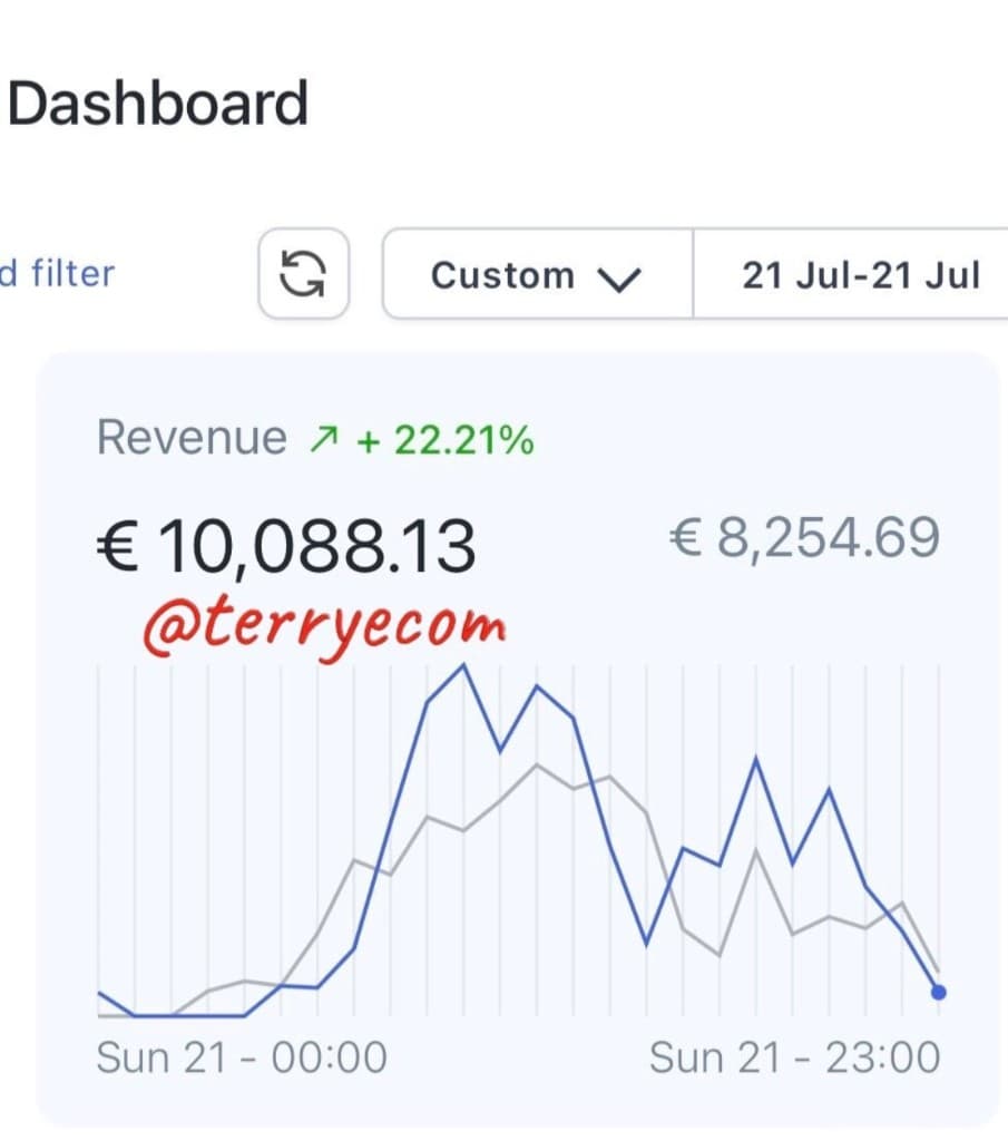 Archived store dashboard showing €10,088.13 revenue in one day